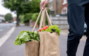 Reusable Bags